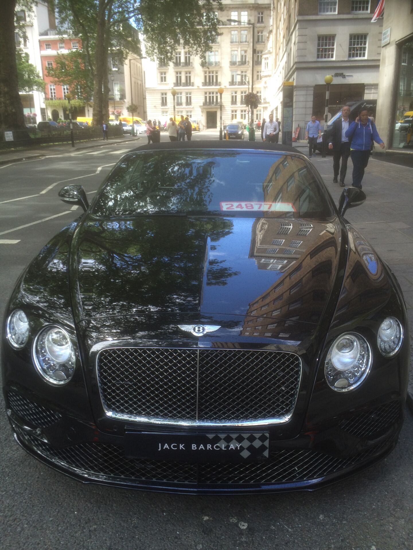 Bentley. Photo Credit: © Edwin Lerner.