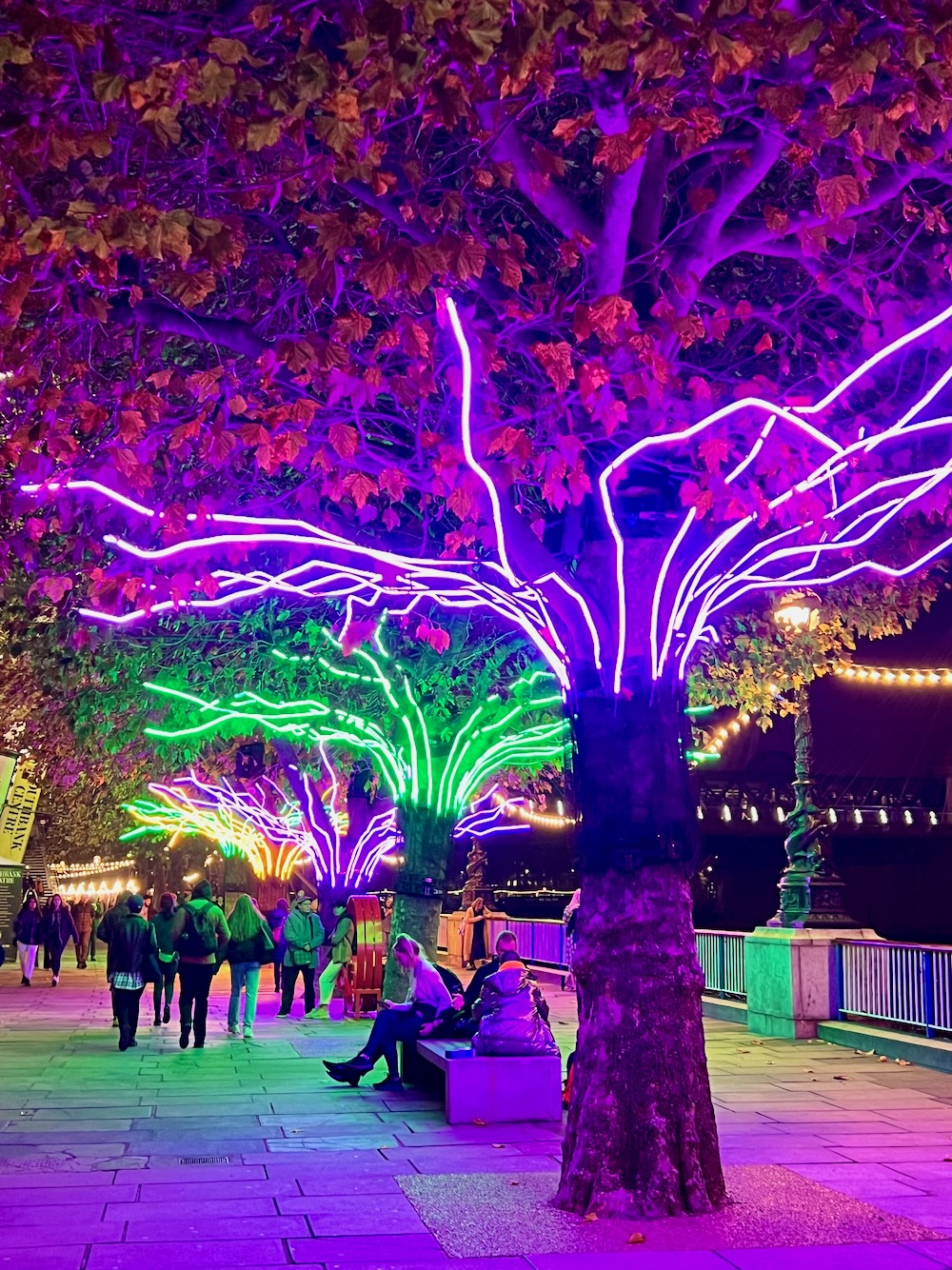 Festive trees infront of Southbank Centre in London. Photo Credit: © Ursula Petula Barzey.