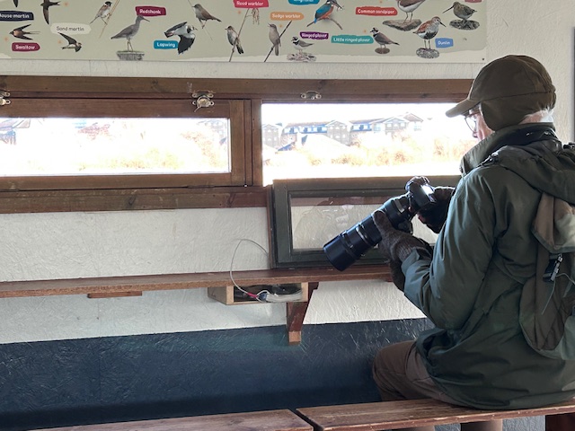 Birdwatching at WWT London Wetland Centre. Photo Credit: © Ildi Pelikan.