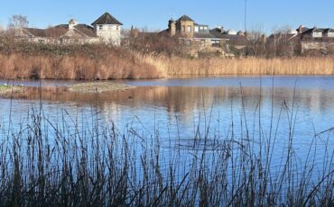 Sheltered Lagoon at the WWT London Wetland Centre. Photo Credit: © Ildi Pelikan.