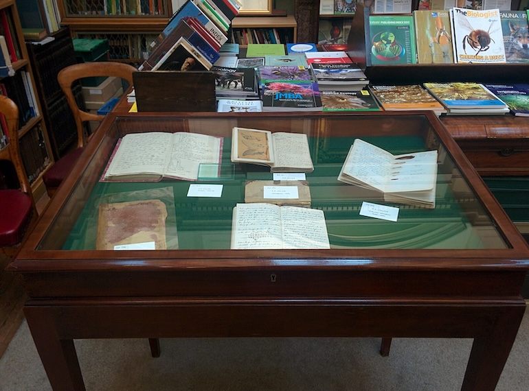 A display of Alfred Russel Wallace notebooks in the Linnean Society library. Photo Credit: © John Cummings via Wikimedia Commons.