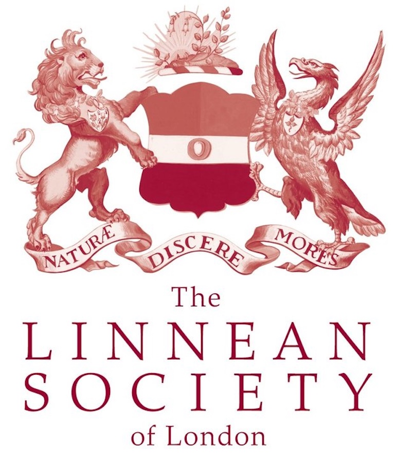 The Linnean Society of London. Photo Credit: © Linnean Society of London.